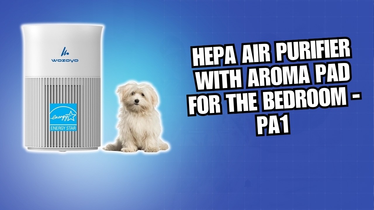 HEPA Air Purifier with Aroma Pad for the Bedroom - PA1